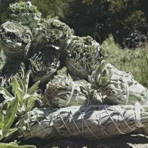 100% Natural Incense White Sage Bundle Smudge Sticks Home Purification Pure Leaf Meditation Portable Energy Cleansing Bundles